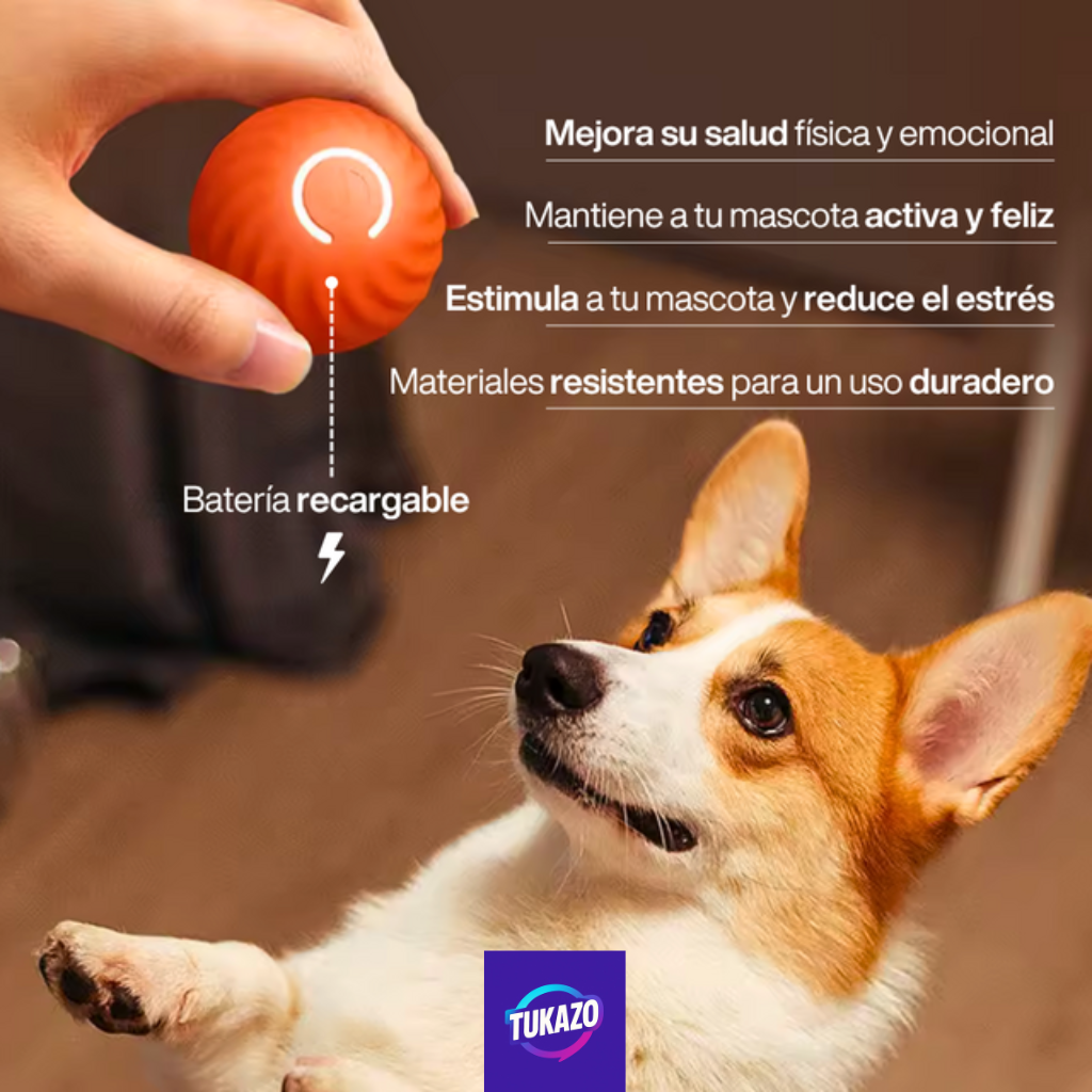 ¡Combo 2x1 Ideal para tu Mascota: Pelota Inteligente Top + Cepillo a Vapor!