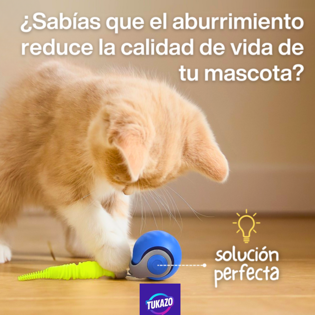 ¡Combo 2x1 Ideal para tu Mascota: Pelota Inteligente Top + Cepillo a Vapor!